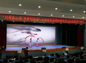 彩云之南喜迎五洲客，多元文化共繪同心圓——云南省首屆國際留學生文化交流周開幕
